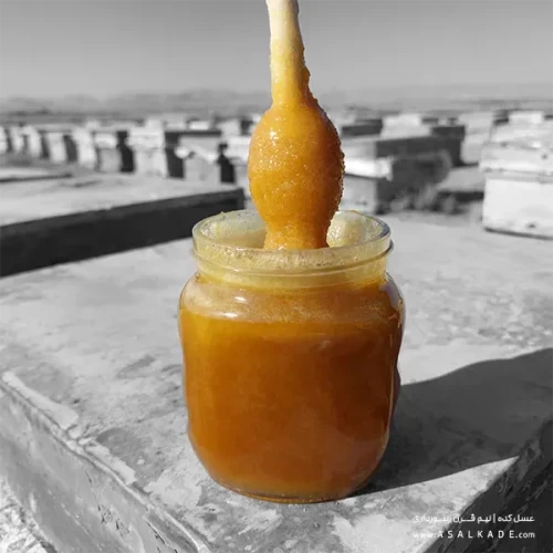 عسل کنار خام ارگانیک