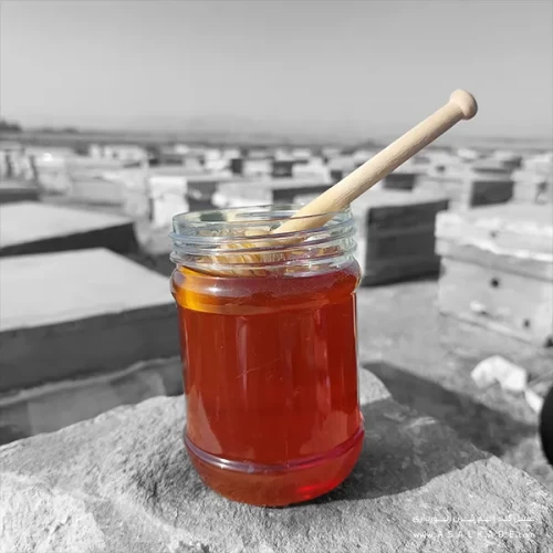 عسل گشنیز صاف شده ارگانیک